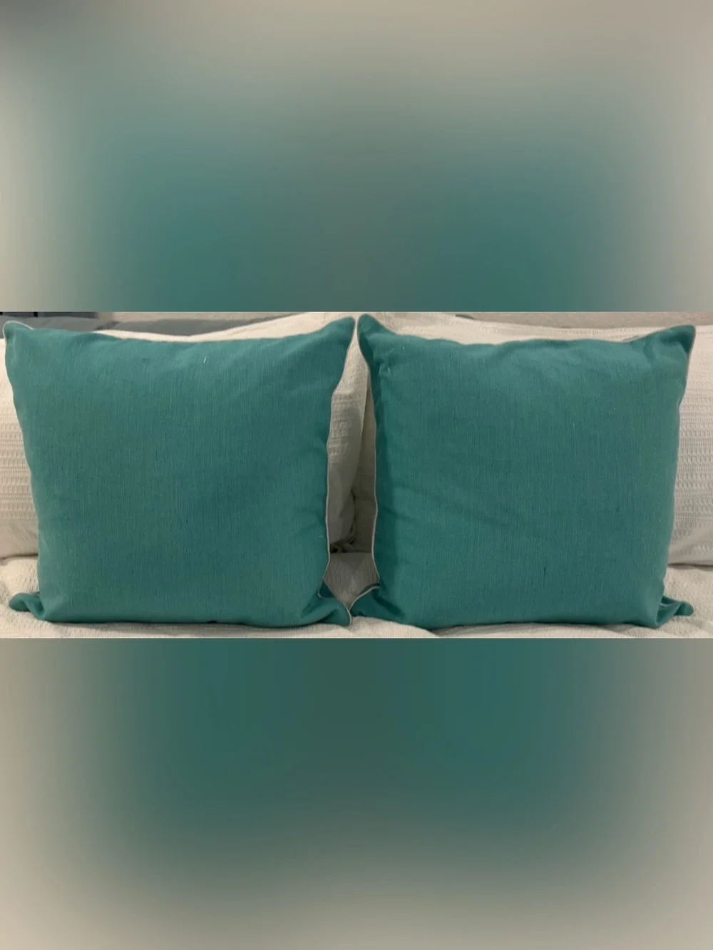 Green Shell Print 20” Throw Pillows